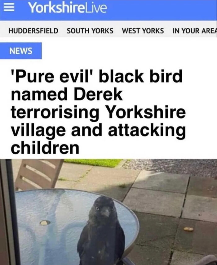 52 Times British Humor Was So Dry It Almost Went Over People&rsquo;s Heads