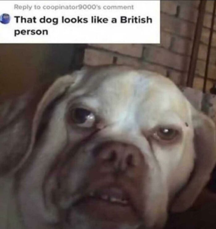 52 Times British Humor Was So Dry It Almost Went Over People&rsquo;s Heads