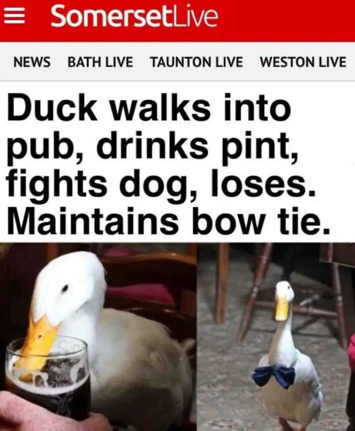52 Times British Humor Was So Dry It Almost Went Over People&rsquo;s Heads