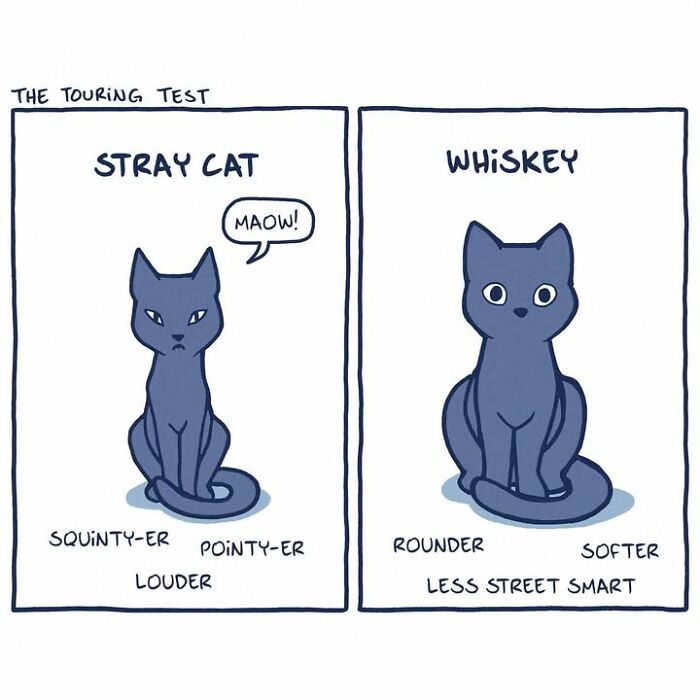 Artist Turned Her Unexpected Bond With A Stray Cat Into A Heartwarming Comic Series Artist Turned Her Unexpected Bond With A Stray Cat Into A Heartwarming Comic Series