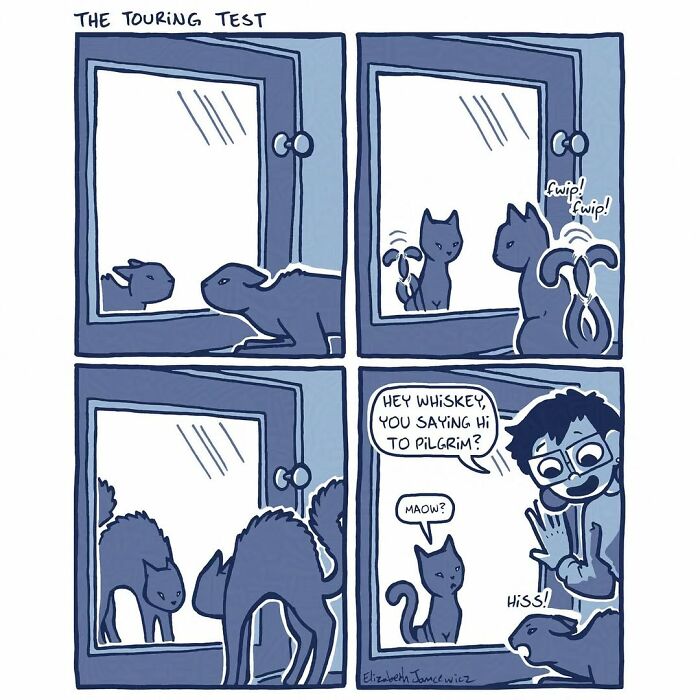 Artist Turned Her Unexpected Bond With A Stray Cat Into A Heartwarming Comic Series Artist Turned Her Unexpected Bond With A Stray Cat Into A Heartwarming Comic Series