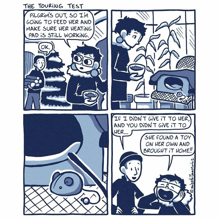 Artist Turned Her Unexpected Bond With A Stray Cat Into A Heartwarming Comic Series Artist Turned Her Unexpected Bond With A Stray Cat Into A Heartwarming Comic Series