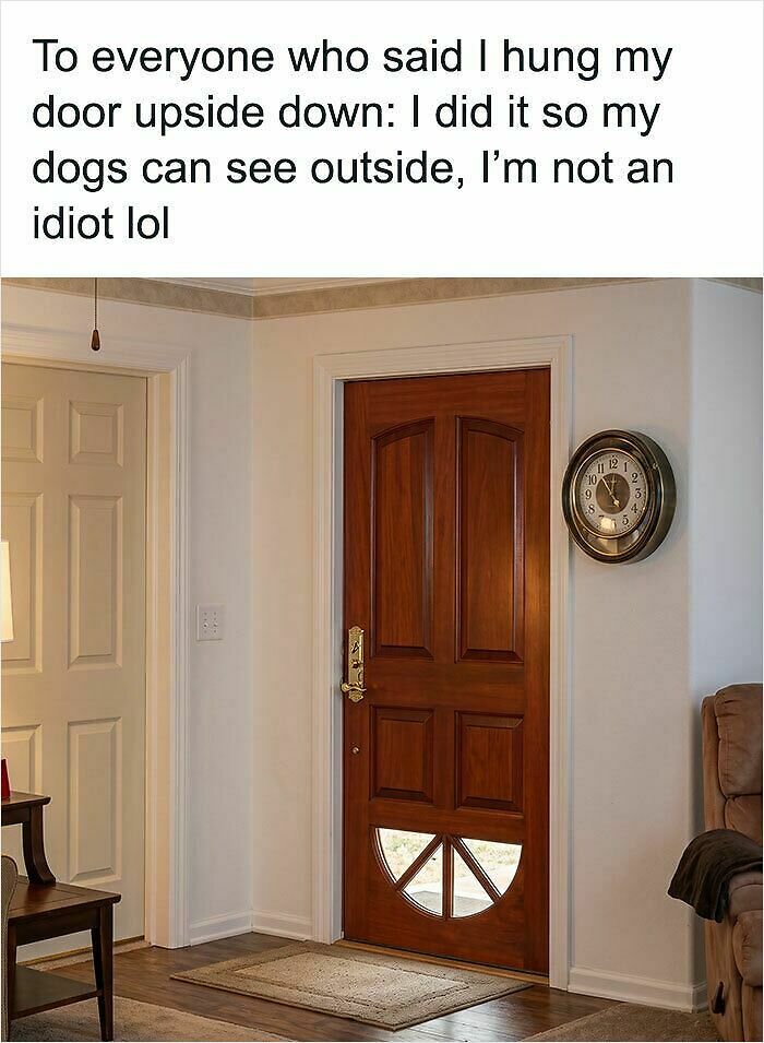63 Oddly Wholesome Images To Make You Breathe A Little Easier Today