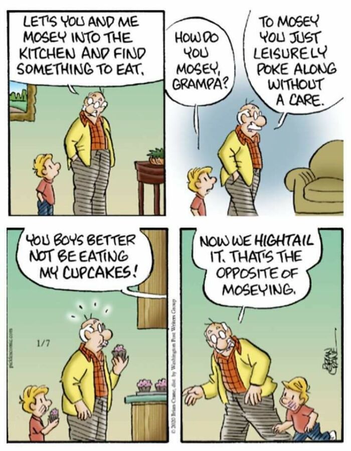 63 Oddly Wholesome Images To Make You Breathe A Little Easier Today