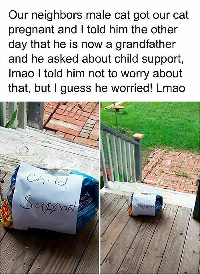 63 Oddly Wholesome Images To Make You Breathe A Little Easier Today