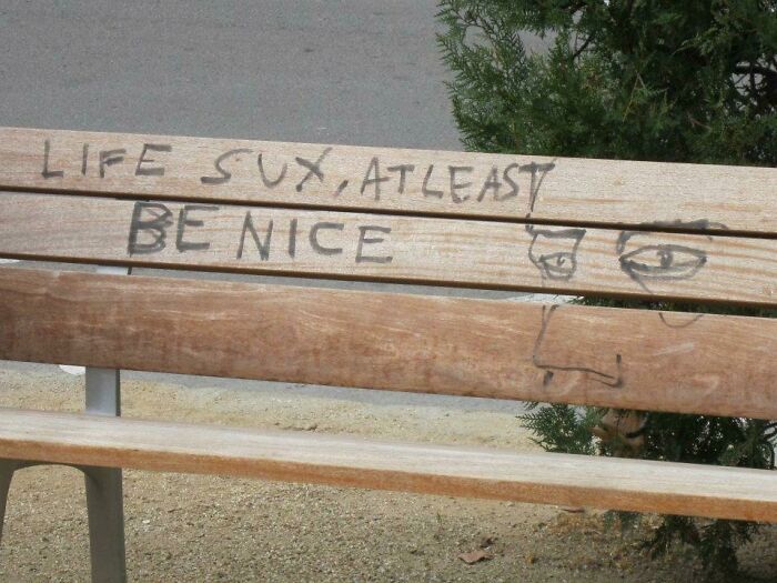 63 Oddly Wholesome Images To Make You Breathe A Little Easier Today