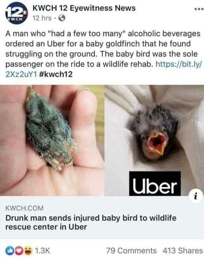 63 Oddly Wholesome Images To Make You Breathe A Little Easier Today