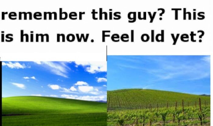 63 Oddly Wholesome Images To Make You Breathe A Little Easier Today