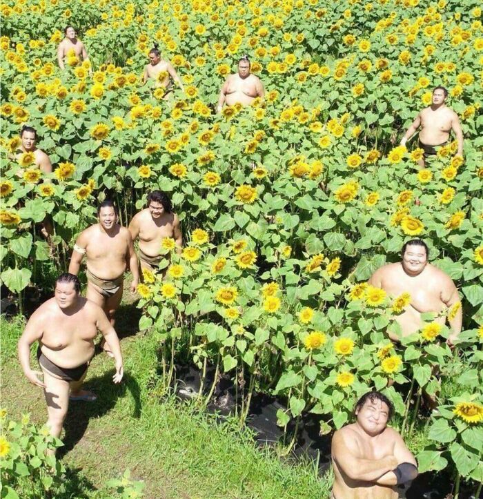 63 Oddly Wholesome Images To Make You Breathe A Little Easier Today