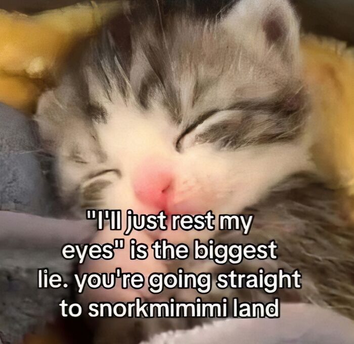 68 Memes So Unhinged, They Might Be The Only Thing You Need To Change Your Mood