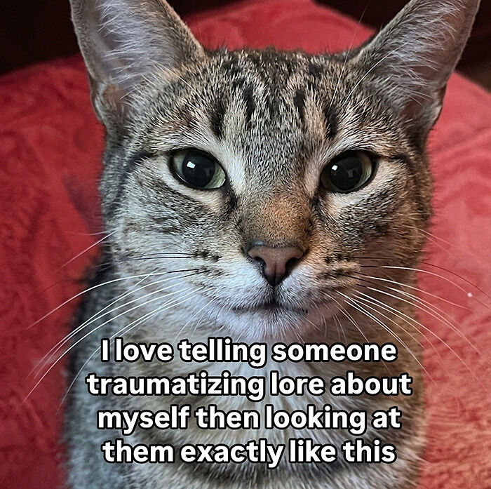 68 Memes So Unhinged, They Might Be The Only Thing You Need To Change Your Mood