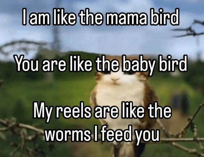 68 Memes So Unhinged, They Might Be The Only Thing You Need To Change Your Mood