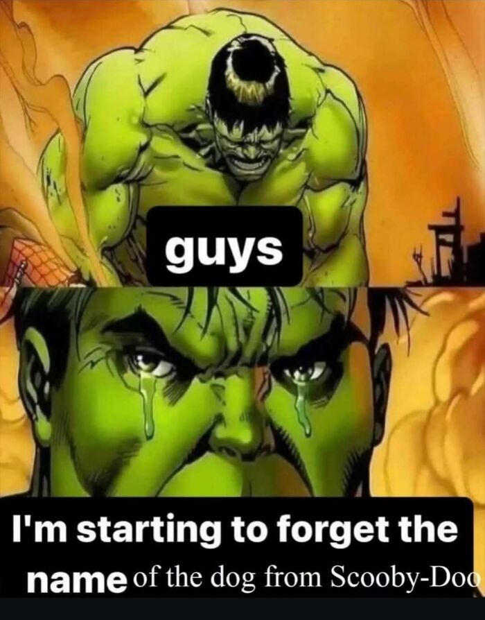 68 Memes So Unhinged, They Might Be The Only Thing You Need To Change Your Mood