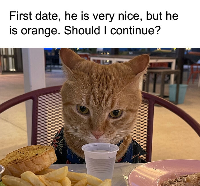68 Memes So Unhinged, They Might Be The Only Thing You Need To Change Your Mood