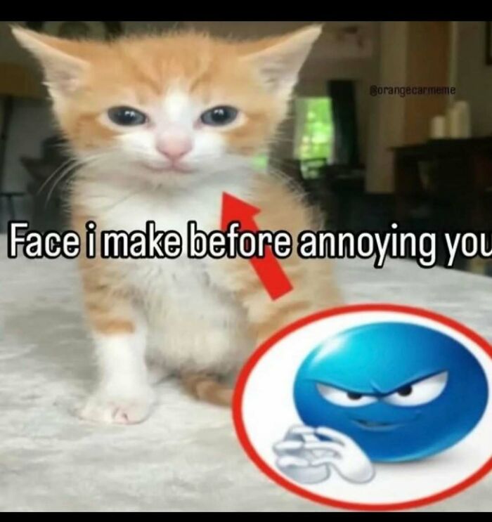 68 Memes So Unhinged, They Might Be The Only Thing You Need To Change Your Mood