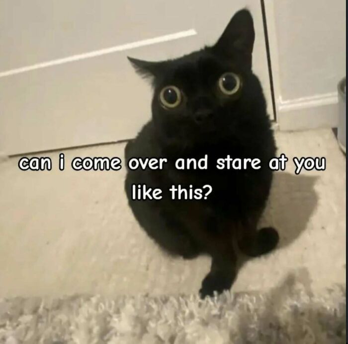 68 Memes So Unhinged, They Might Be The Only Thing You Need To Change Your Mood
