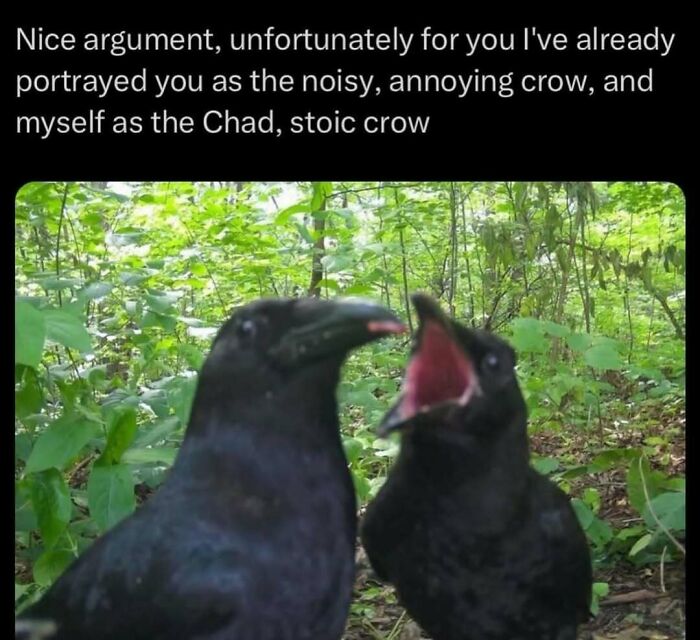 68 Memes So Unhinged, They Might Be The Only Thing You Need To Change Your Mood