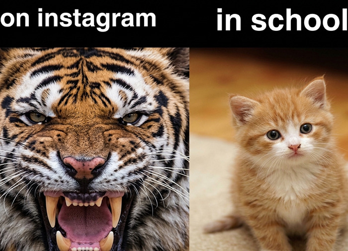 68 Memes So Unhinged, They Might Be The Only Thing You Need To Change Your Mood