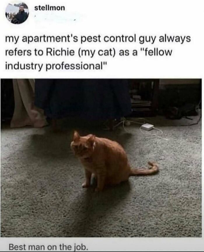 68 Memes So Unhinged, They Might Be The Only Thing You Need To Change Your Mood