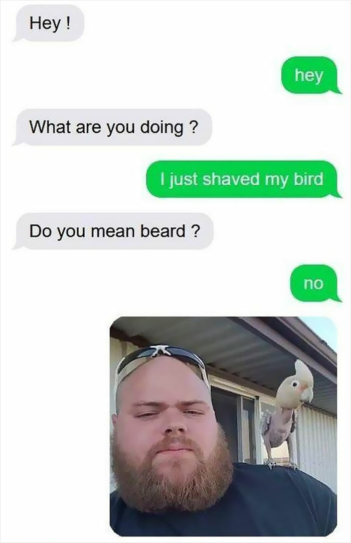 65 Unhinged Text Exchanges That Are Almost Certainly Fictional But Absolutely Hilarious