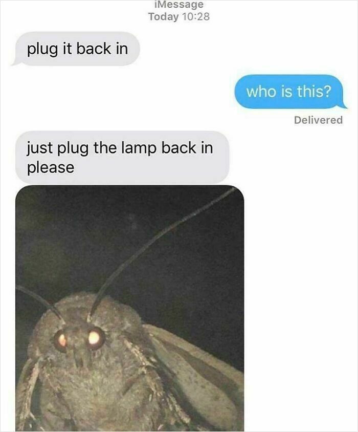65 Unhinged Text Exchanges That Are Almost Certainly Fictional But Absolutely Hilarious