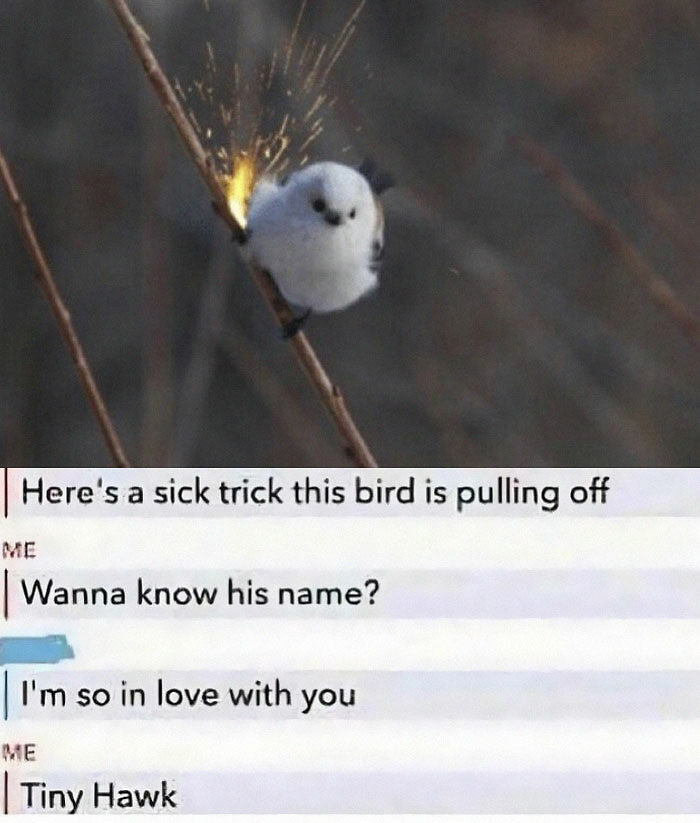 65 Unhinged Text Exchanges That Are Almost Certainly Fictional But Absolutely Hilarious