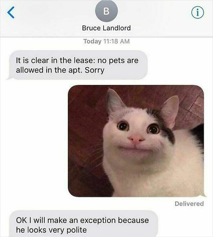 65 Unhinged Text Exchanges That Are Almost Certainly Fictional But Absolutely Hilarious