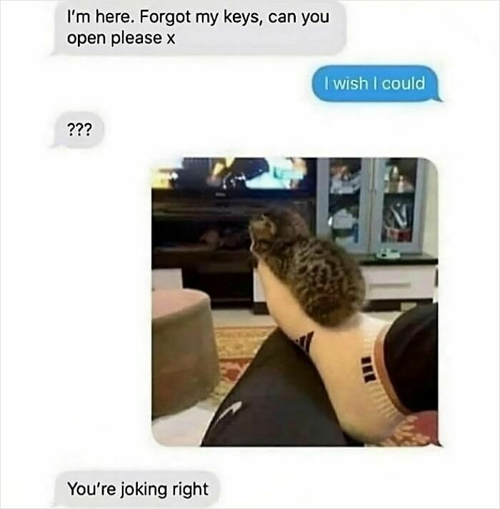 65 Unhinged Text Exchanges That Are Almost Certainly Fictional But Absolutely Hilarious