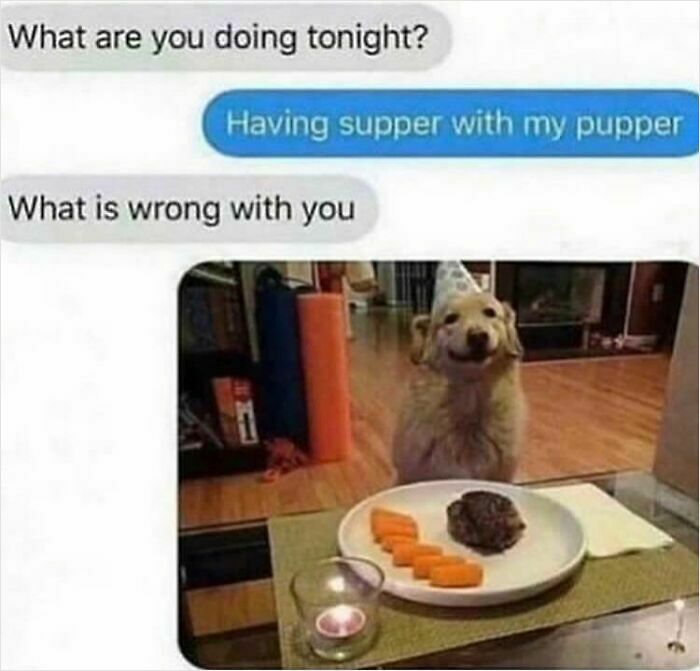 65 Unhinged Text Exchanges That Are Almost Certainly Fictional But Absolutely Hilarious