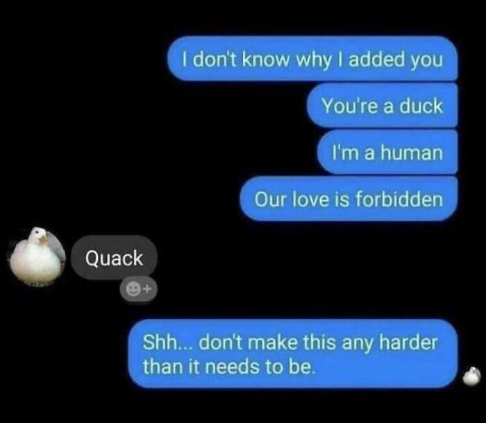 65 Unhinged Text Exchanges That Are Almost Certainly Fictional But Absolutely Hilarious