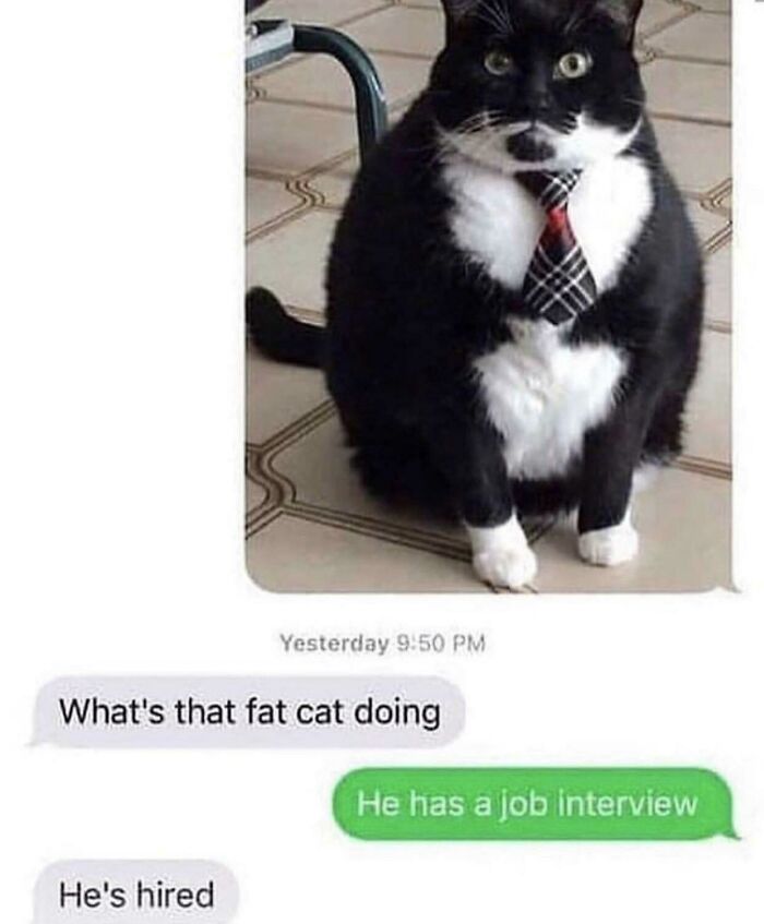 65 Unhinged Text Exchanges That Are Almost Certainly Fictional But Absolutely Hilarious