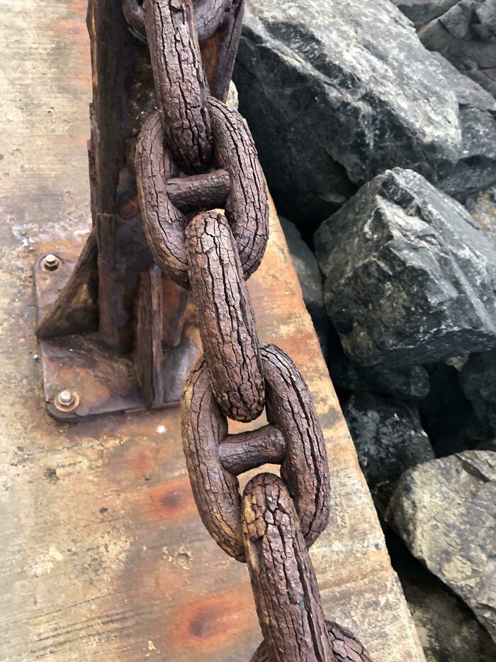 95 Fascinating Finds That Prove The Internet Never Runs Out Of Things To Show Us