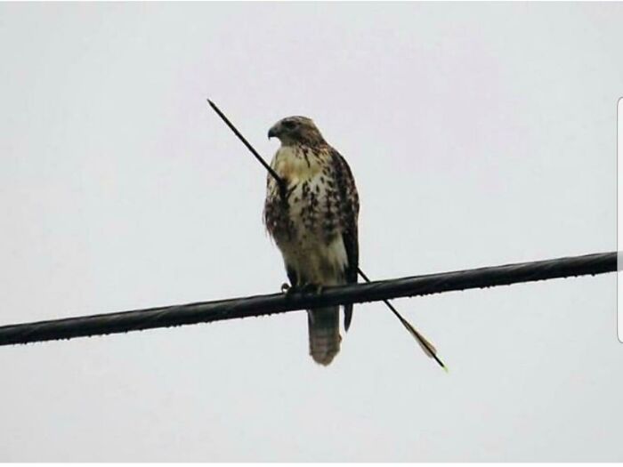 95 Fascinating Finds That Prove The Internet Never Runs Out Of Things To Show Us