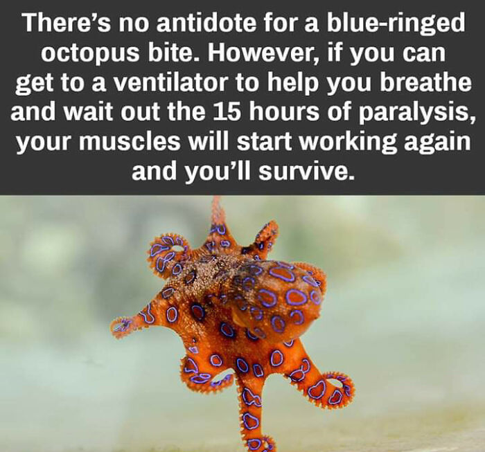 95 Fascinating Finds That Prove The Internet Never Runs Out Of Things To Show Us