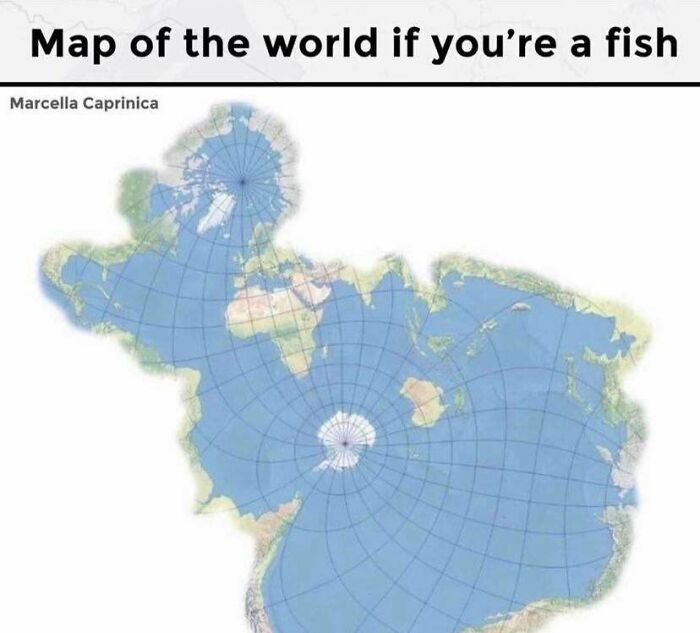 95 Fascinating Finds That Prove The Internet Never Runs Out Of Things To Show Us