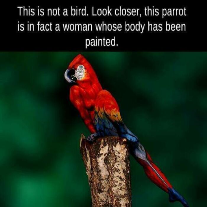 95 Fascinating Finds That Prove The Internet Never Runs Out Of Things To Show Us