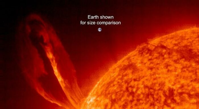 95 Fascinating Finds That Prove The Internet Never Runs Out Of Things To Show Us