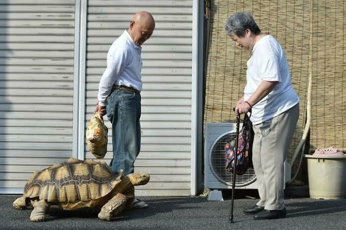 95 Fascinating Finds That Prove The Internet Never Runs Out Of Things To Show Us
