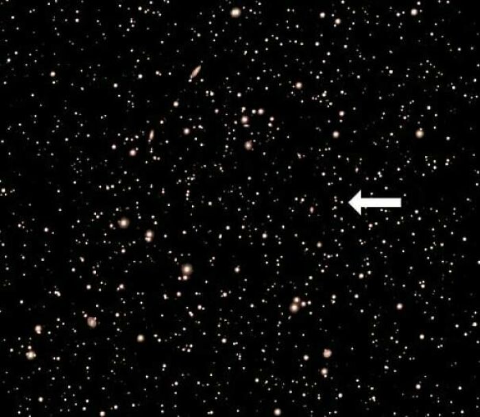 95 Fascinating Finds That Prove The Internet Never Runs Out Of Things To Show Us