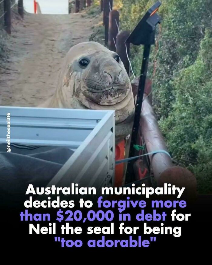51 Funny And Weird Internet Moments That Deserved To Be Preserved In These Screenshots (New Pics) 51 Funny And Weird Internet Moments That Deserved To Be Preserved In These Screenshots (New Pics)