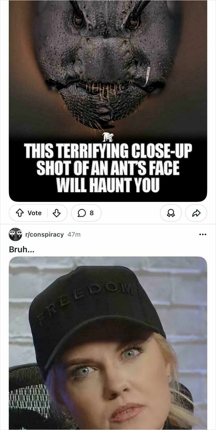 51 Funny And Weird Internet Moments That Deserved To Be Preserved In These Screenshots (New Pics) 51 Funny And Weird Internet Moments That Deserved To Be Preserved In These Screenshots (New Pics)