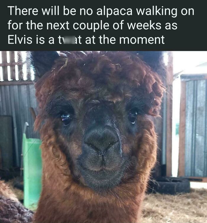 51 Funny And Weird Internet Moments That Deserved To Be Preserved In These Screenshots (New Pics) 51 Funny And Weird Internet Moments That Deserved To Be Preserved In These Screenshots (New Pics)