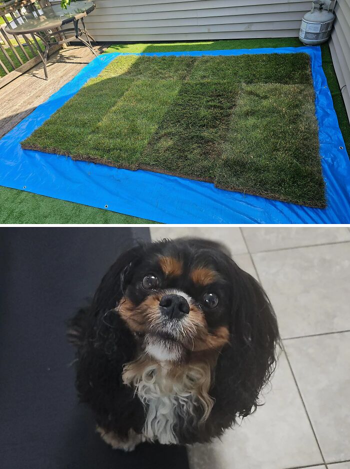 91 Times People Turned Random Junk Into Clever Solutions (New Pics)