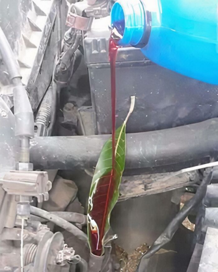 91 Times People Turned Random Junk Into Clever Solutions (New Pics)