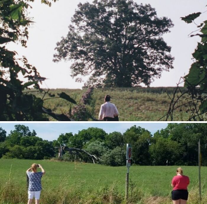 90 Times People’s Trips Didn’t Go Exactly As Planned 90 Times People’s Trips Didn’t Go Exactly As Planned