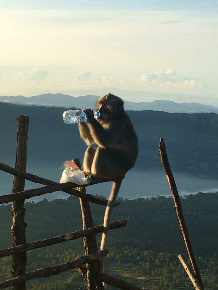 90 Times People’s Trips Didn’t Go Exactly As Planned 90 Times People’s Trips Didn’t Go Exactly As Planned