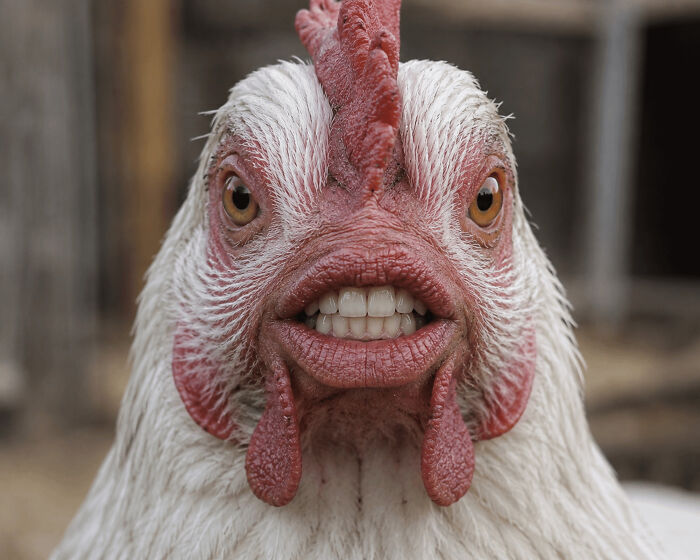 92 Cursed AI Images That Might Just Fuel Your Next Nightmares 92 Cursed AI Images That Might Just Fuel Your Next Nightmares