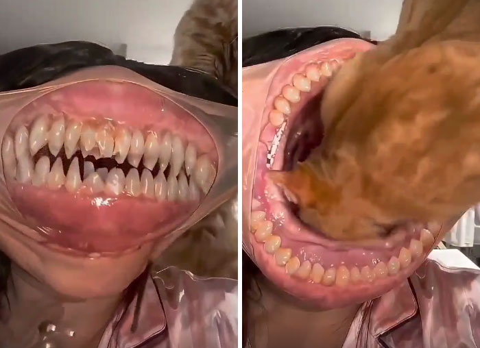 92 Cursed AI Images That Might Just Fuel Your Next Nightmares 92 Cursed AI Images That Might Just Fuel Your Next Nightmares