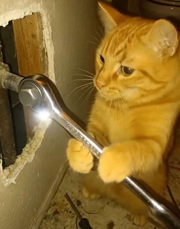 92 Cursed AI Images That Might Just Fuel Your Next Nightmares 92 Cursed AI Images That Might Just Fuel Your Next Nightmares