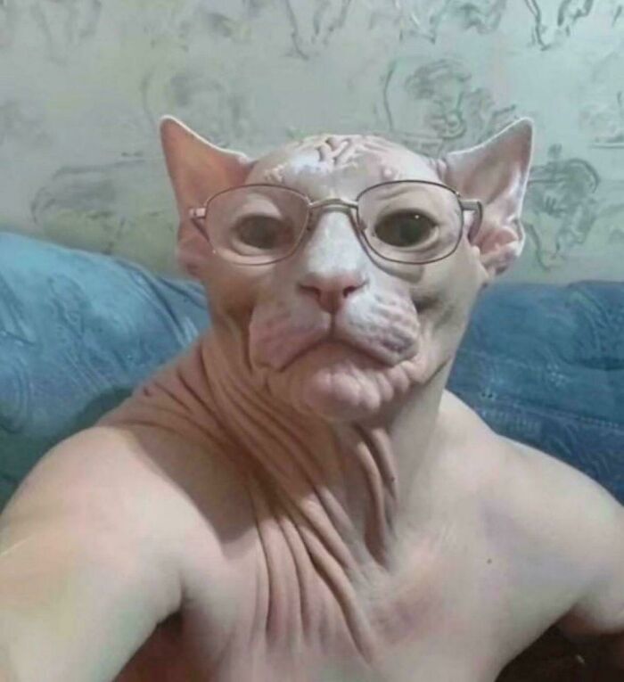 92 Cursed AI Images That Might Just Fuel Your Next Nightmares 92 Cursed AI Images That Might Just Fuel Your Next Nightmares